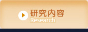 研究内容